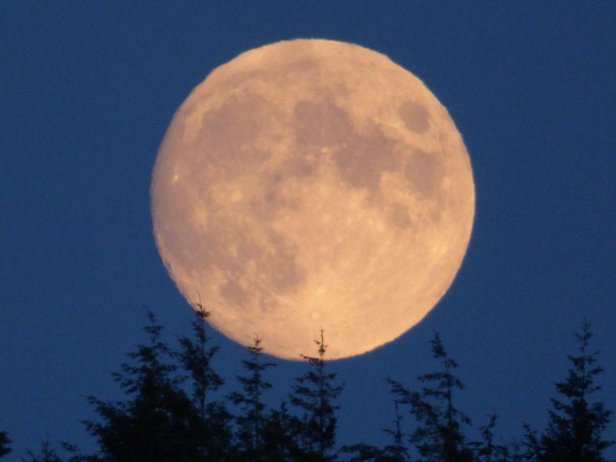 Hunters Moon B&B Tidworth Εξωτερικό φωτογραφία